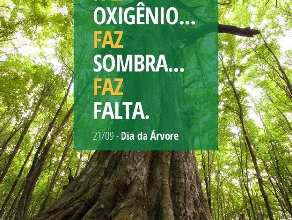 Faz Oxigênio… Faz Sombra… Falta Falta.