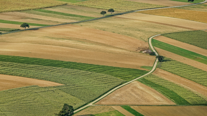 Agricultura Regenerativa
