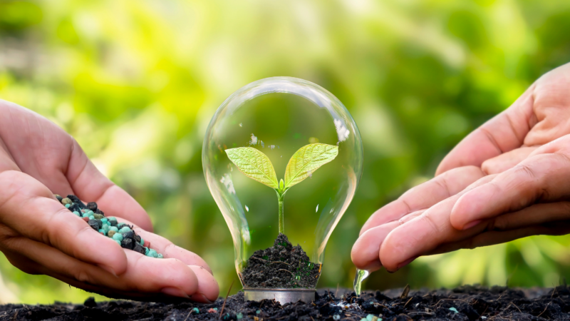 FERTILIZANTES ORGÂNICOSE SUAS VANTAGENS