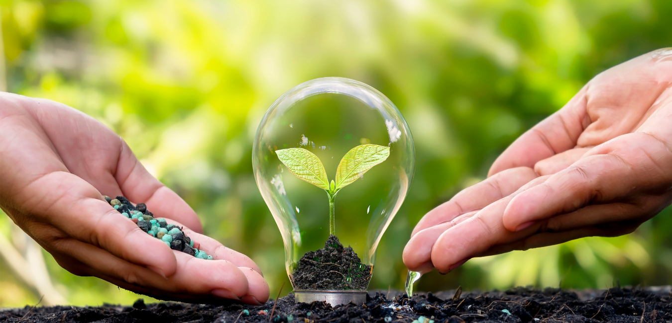 FERTILIZANTES ORGÂNICOSE SUAS VANTAGENS