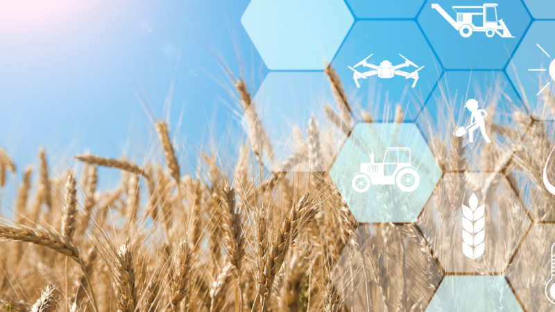 Agricultura de Precisão, porque ela é importante?