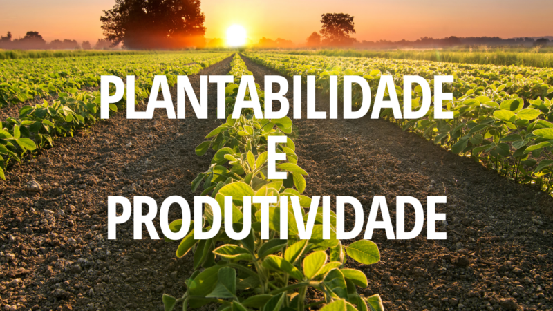 PLANTABILIDADE E PRODUTIVIDADE