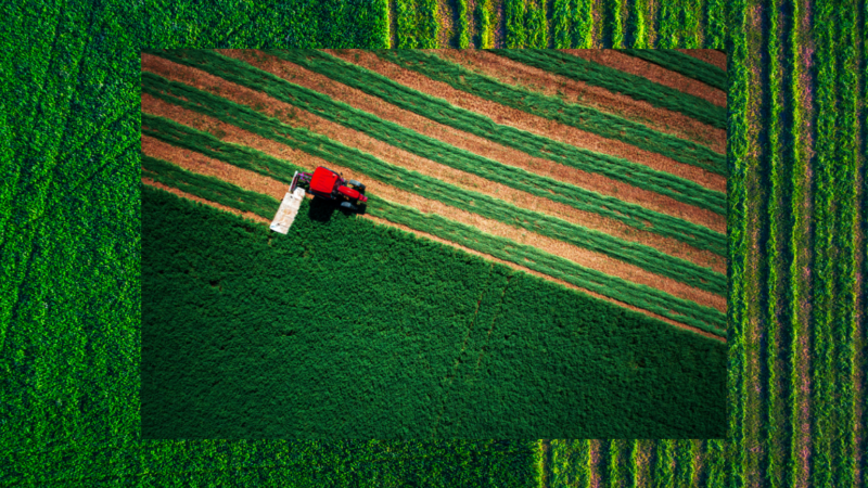 MELHORE O DESEMPENHO DA PLANTADEIRA
