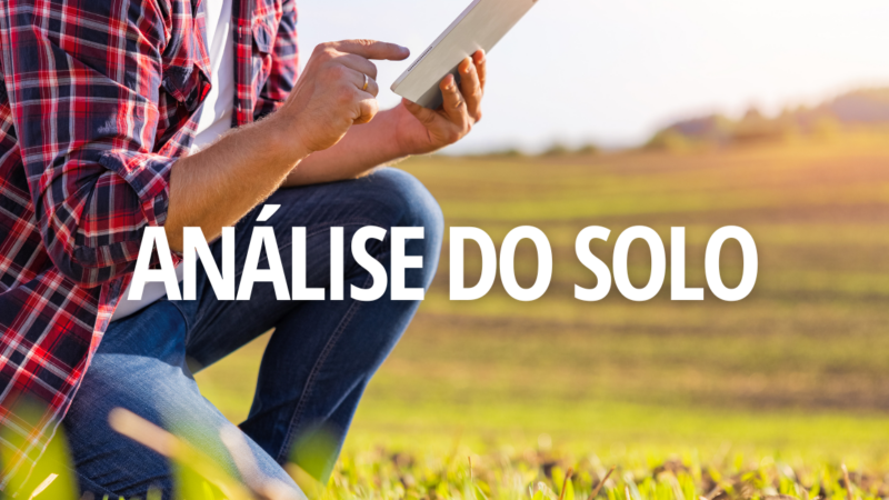 QUAIS SÃO OS TIPOS DE ANÁLISE DO SOLO?