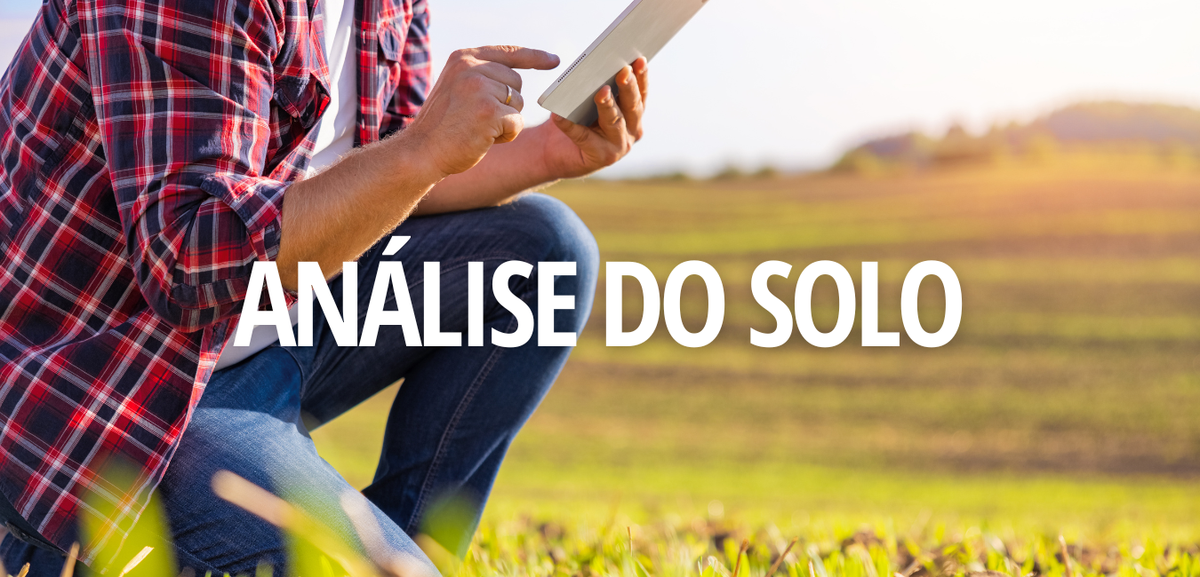 QUAIS SÃO OS TIPOS DE ANÁLISE DO SOLO?