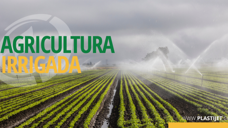 AGRICULTURA IRRIGADA