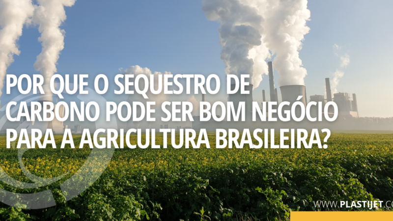 SEQUESTRO DE CARBONO: NECESSÁRIO PARA O MEIO AMBIENTE E BENÉFICO PARA A ECONOMIA