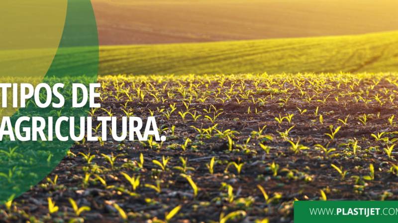 Conheça os 5 principais tipos de agricultura