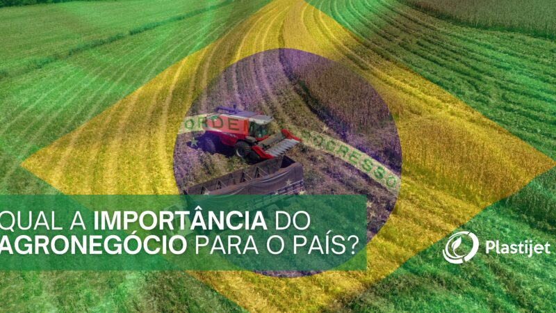 Qual a importância do Agronegócio para o país?