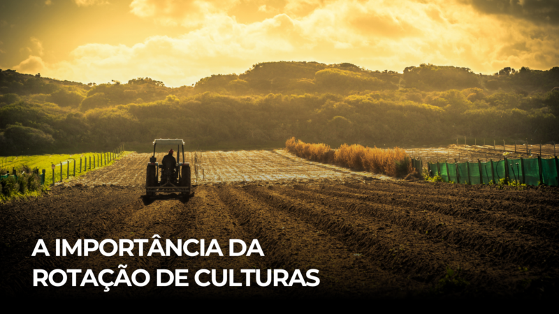 A Importância da Rotação de Culturas