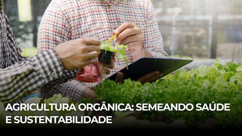 Agricultura orgânica: Semeando saúde e sustentabilidade