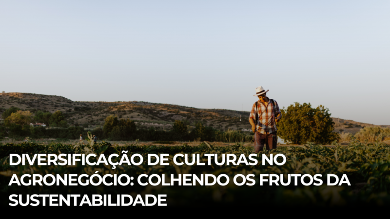 Diversificação de culturas no agronegócio: colhendo os frutos da sustentabilidade