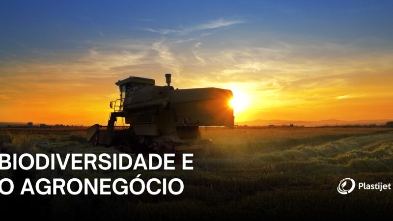 Biodiversidade e o agronegócio.