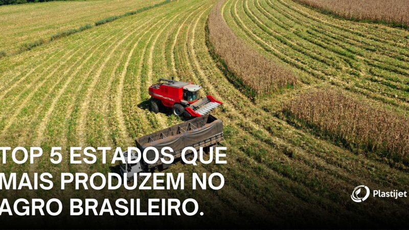 TOP 5 estados que mais produzem no Agro brasileiro.
