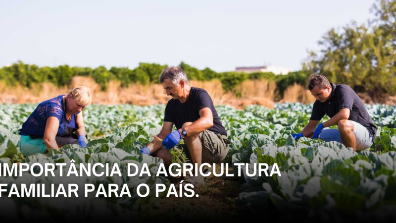 Importância da Agricultura Familiar para o País.
