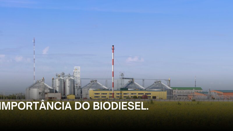 Importância do Biodiesel