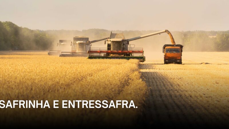 A complexidade da safrinha e da entressafra.