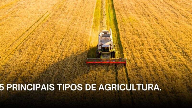 Conheça os 5 principais tipos de agricultura.